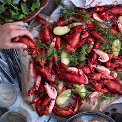 "Kr�ftor" (Krebse) � IKEA