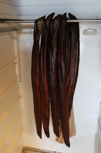 Aale vom Rumpaboden � Wolfgang Sander 2018