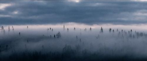 R� � 2019 AG Kurzfilm e.V.