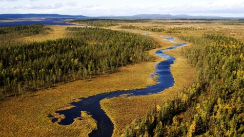 Europas Urw�lder � Unber�hrtes Lappland � 3sat