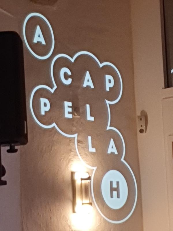 Konzert Ringmasters � Wolfgang Sander 2022