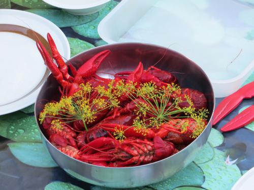 "Kr�ftor" (Krebse) � Wolfgang Sander