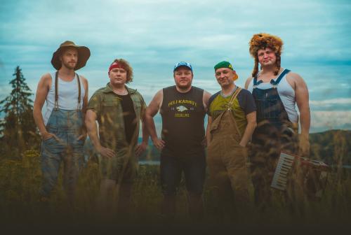 Steve�n�Seagulls � stevenseagulls.com