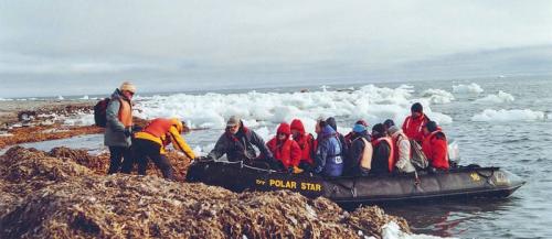 �Polar Star� � Liselore Sch�tte