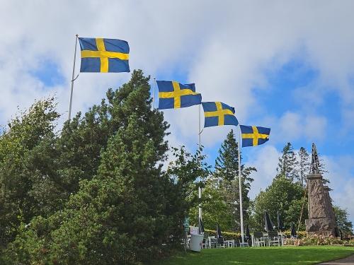 Schwedische Flagge � Wolfgang Sander 2025