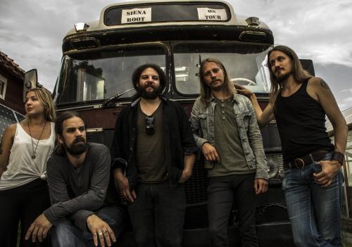 Siena Root � Photo by Nils-Petter Hjort