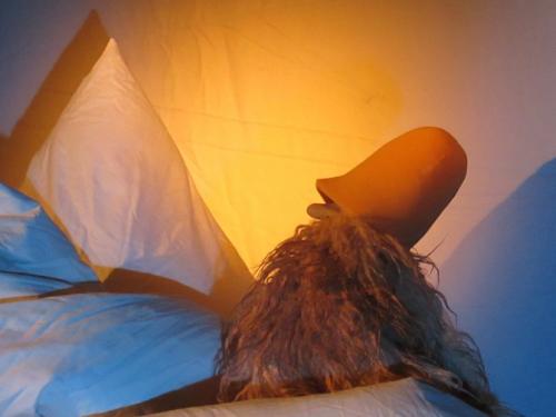 Weihnachten im Tal der Trolle � Miriam Paul