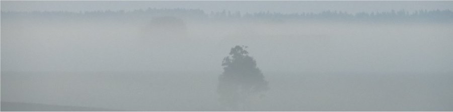 S�dlich von Vadstena, � 2014 Wolfgang Sander